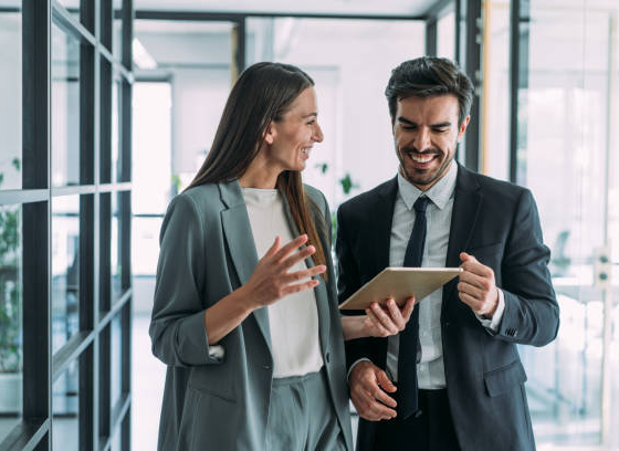 A Practical Guide to Public Sector Consulting