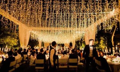 What is the Best Stage Light For Parties And Weddings?
