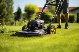 Lawn Care Tips for Every Season