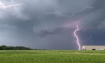 Carmela Clouth, the Contemporary Artist