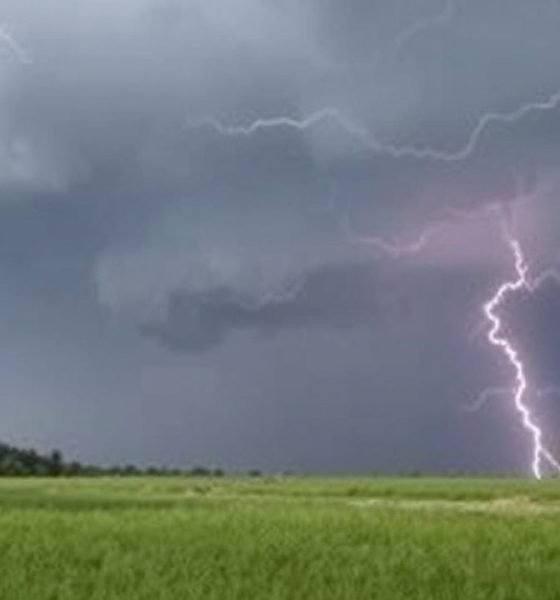 Carmela Clouth, the Contemporary Artist