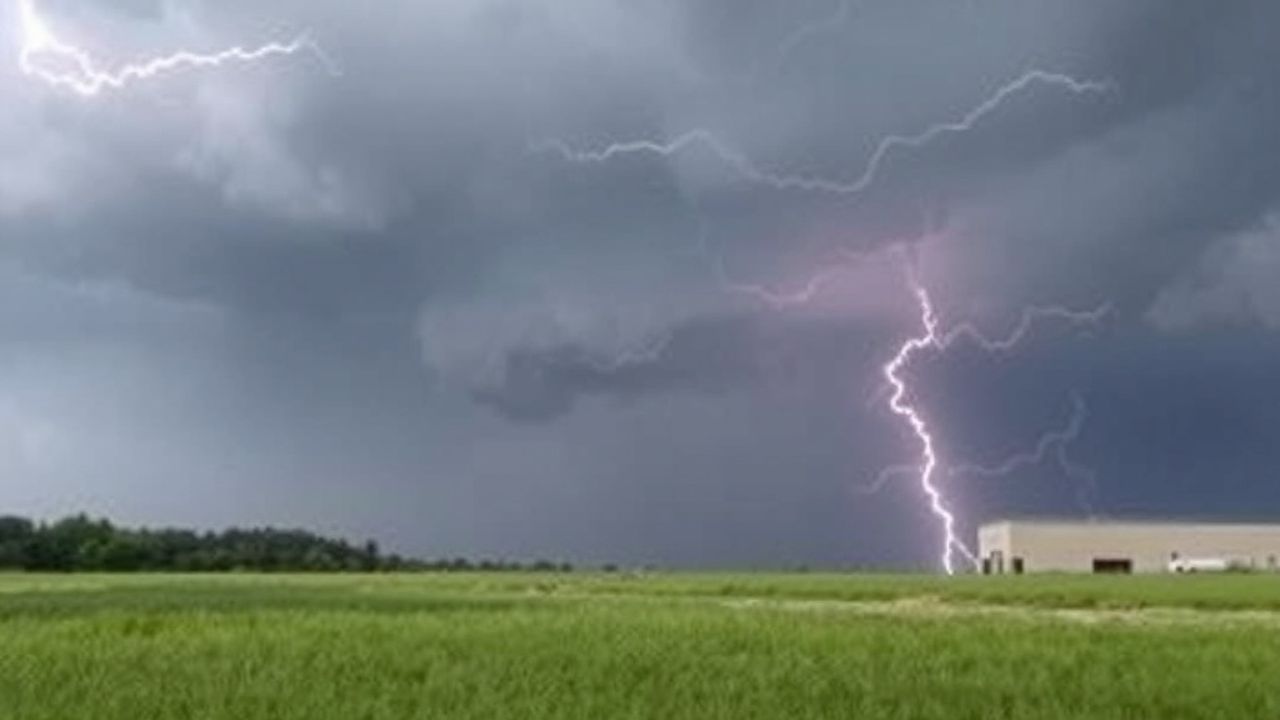 Carmela Clouth, the Contemporary Artist 31 Carmela Clouth, the Contemporary Artist