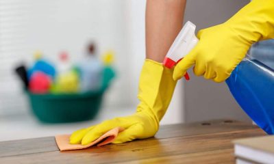 regular cleaning vs deep cleaning