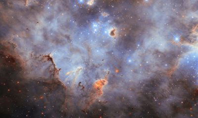 Nebula: Exploring the Cosmic Clouds of the Universe
